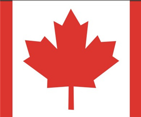 ôǩ֤嵥